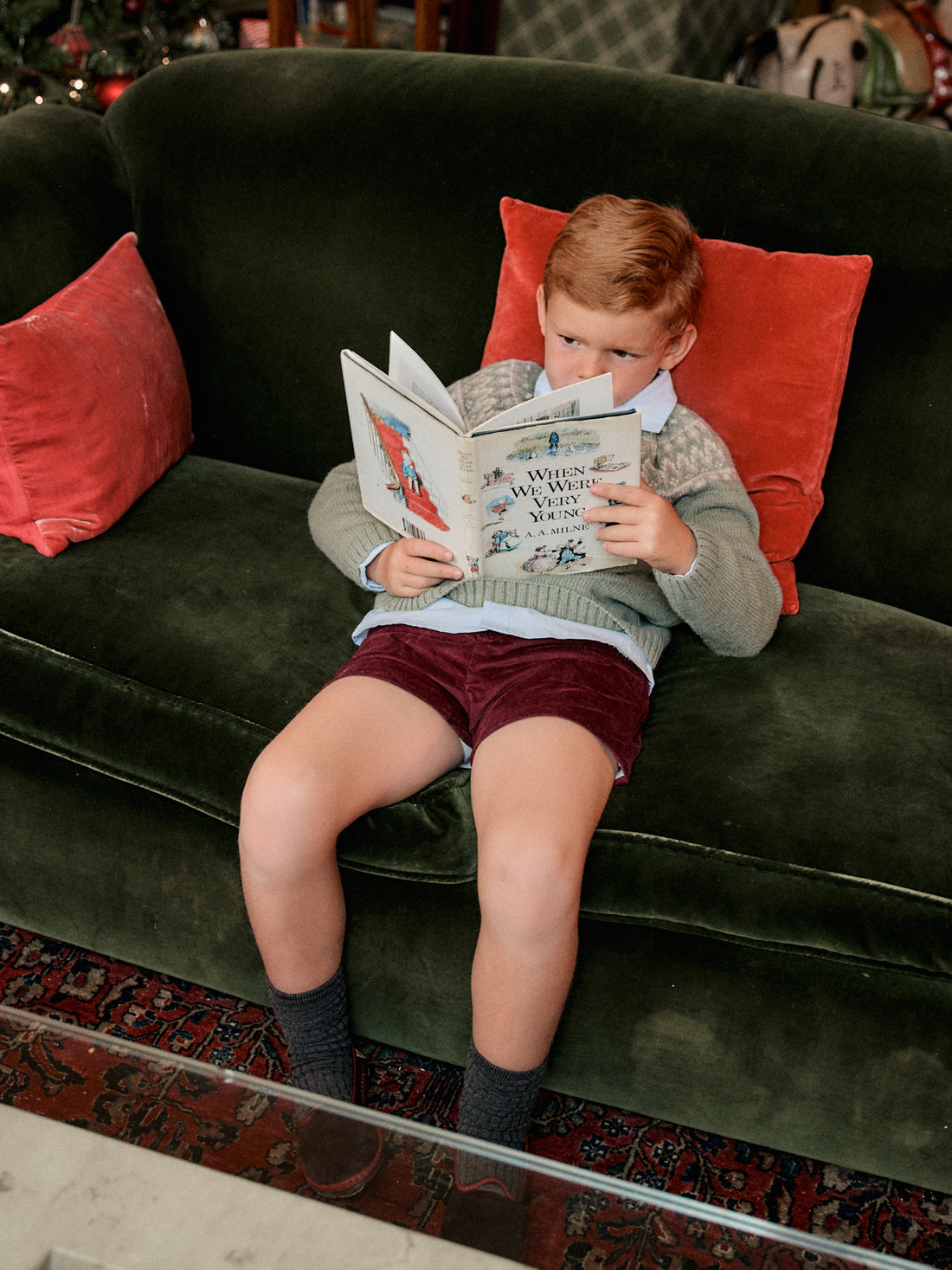 BERMUDA PETER TERCIOPELO BORGOÑA